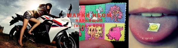 ПСИЛОЦИБИНОВЫЕ ГРИБЫ Армянск