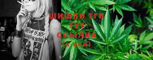 стафф Арсеньев