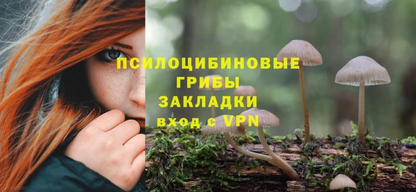 стафф Арсеньев