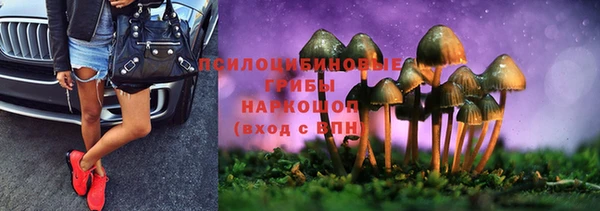 ПСИЛОЦИБИНОВЫЕ ГРИБЫ Армянск